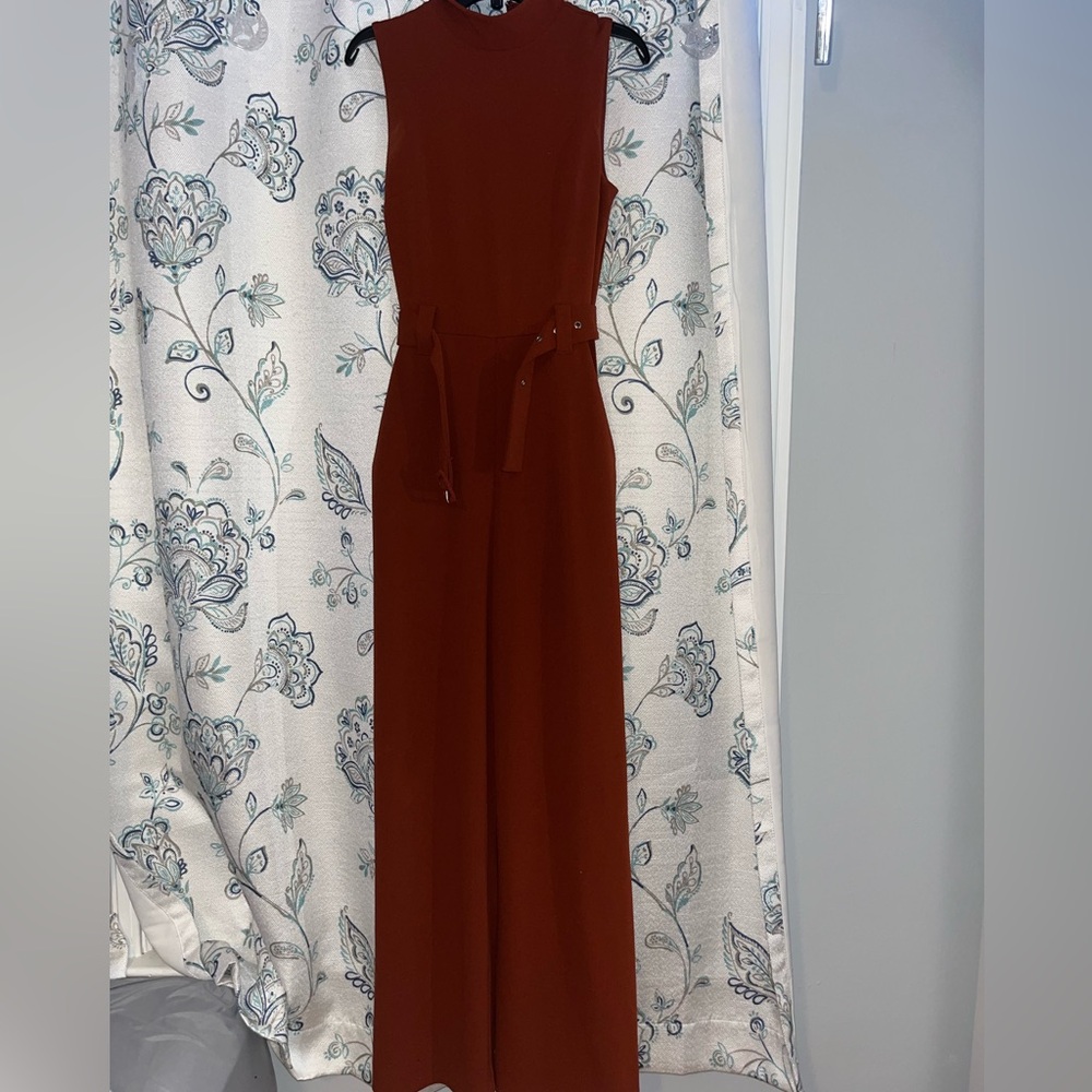 Express burnt orange jumpsuit